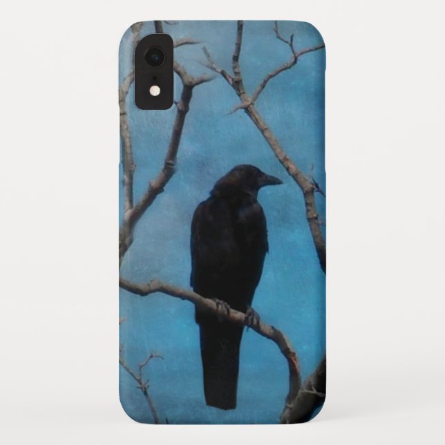 Crow on Hübsch Aqua Case-Mate iPhone Hülle (Rückseite)