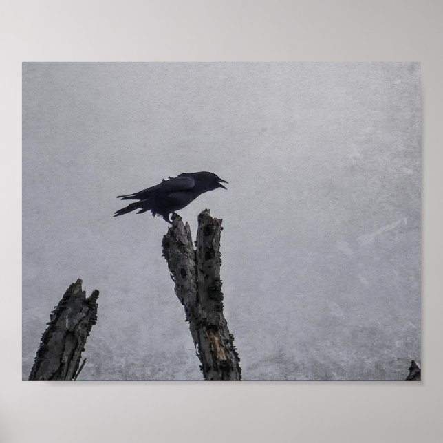 Crow Poster (Vorne)