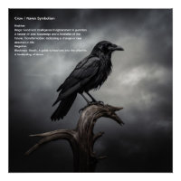 Crow