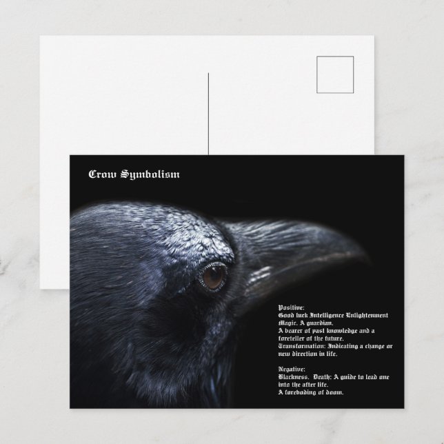 Crow Postkarte (Vorne/Hinten)