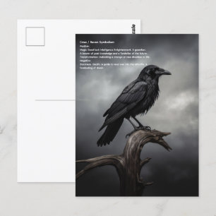 Crow Postkarte