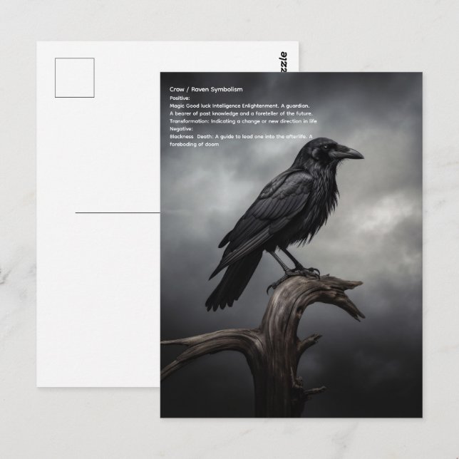 Crow Postkarte (Vorne/Hinten)