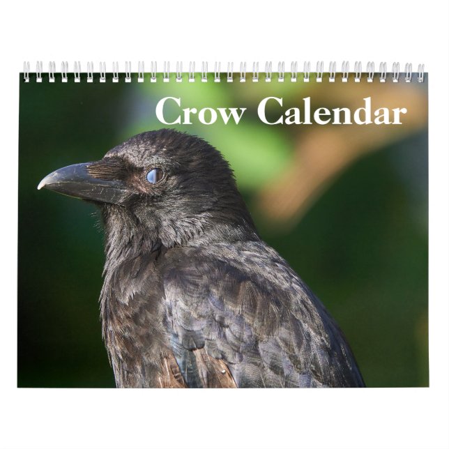 Crow Raven 2025 Kalender (Titelbild)