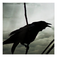 Crow/Raven Poster