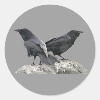 Crow Raven Runder Aufkleber