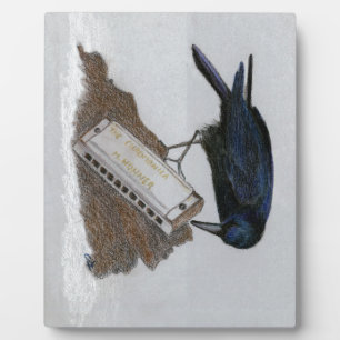 Crow und Harmonica Fotoplatte