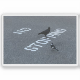 Crow und Magpie Aufkleber