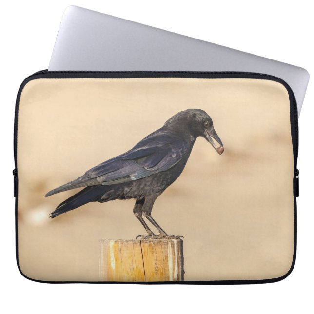 Crow und seine Nut Laptopschutzhülle (Vorderseite)