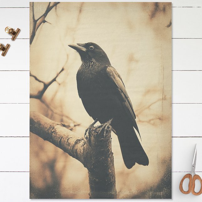 Crow Vintag Style Decoupage Seidenpapier (Von Creator hochgeladen)