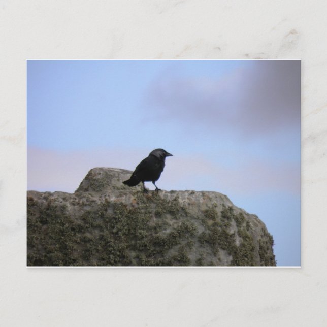 Crow-Vormund von Stone Henge Postkarte (Vorderseite)