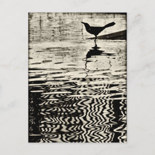 Crow with Reflection on Water - Postkarte