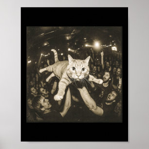 Crowd Surfing Katze Meme Disco Party Katze Gang Na Poster