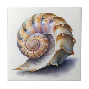 Crowie Conch Muschel Watercolor Tile Fliese