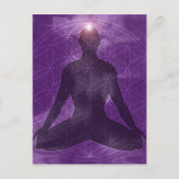 Crown Chakra Sahasrara
