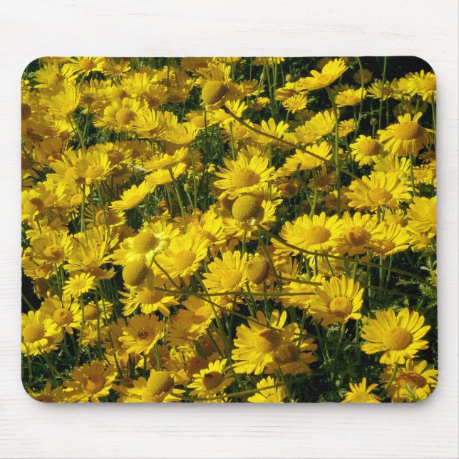 Crown Daisis / Chrysanthemum Coronarium Mousepad (Vorne)