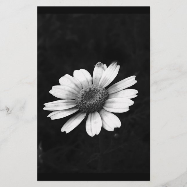 Crown Daisy Briefpapier (Vorderseite)