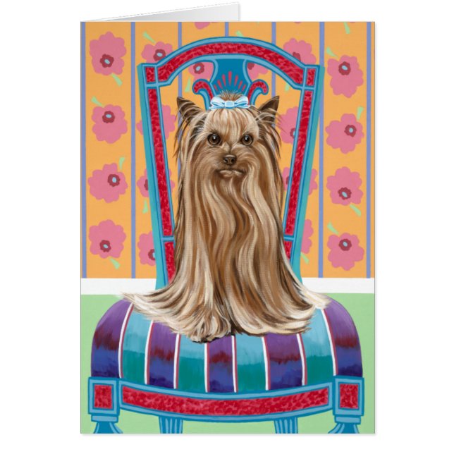 Crown Princess Yorkie (Vorne)