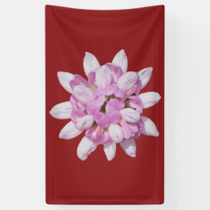 Crown Vetch #1 Banner