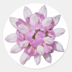 Crown Vetch #1 Runder Aufkleber