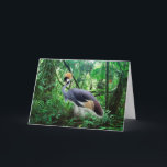 Crowned Crane Geburtstag Karte<br><div class="desc">Ein gekrönter Kranich im Dschungel schmückt die Grußkarte dieser Mutter am Vortag,  während der Text im Innern "Muttertag glücklich" lautet</div>