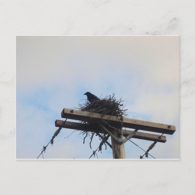 Crows Nest in Ak Postkarte (Vorderseite)