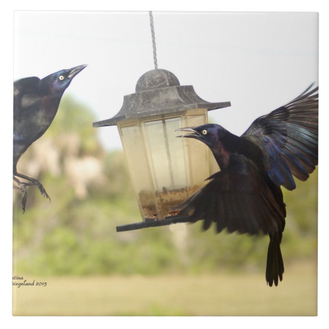 Crows Ravens Blackbirds Tile Fliese (Vorderseite)