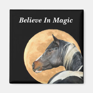 Croyez en Magic Magnet avec le cheval de peinture 