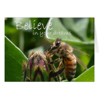 Croyez en vos rêves