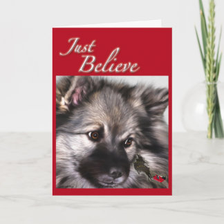 "Croyez juste" la carte de Noël de Keeshond