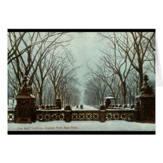 Cru c1910 du Central Park NY d'hiver