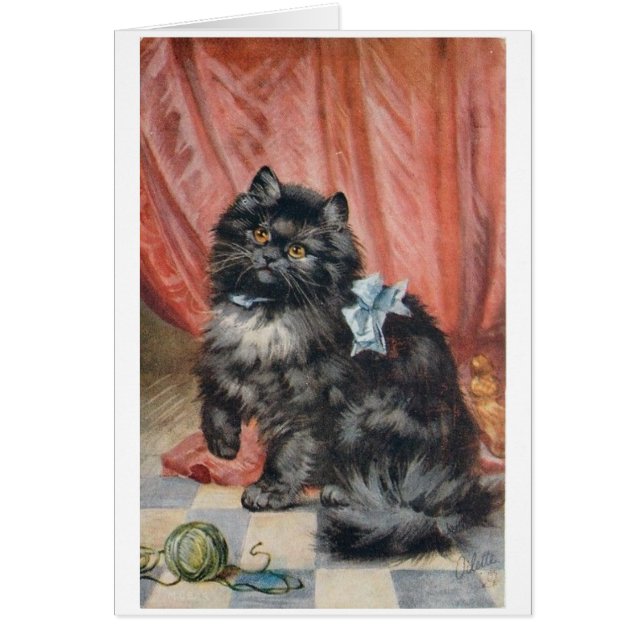 Cru - chat et fil, (Devant)