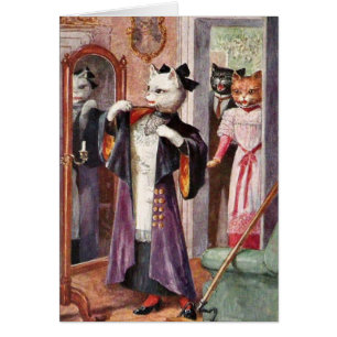 Cru - chat tout habillé,