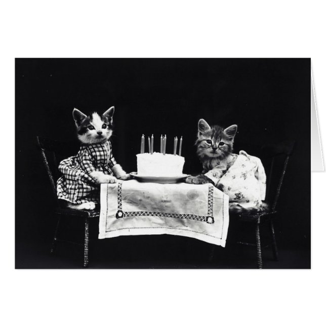 Cru - chatons de joyeux anniversaire (blanc à (Devant horizontal)