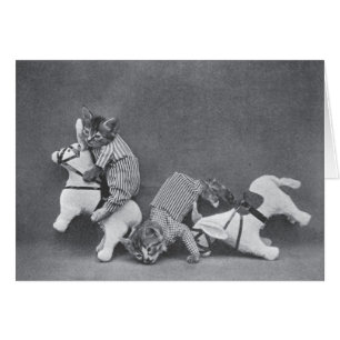 Cru - chatons sur opposer Broncos,