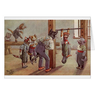 Cru - chats dans la classe de gymnase,