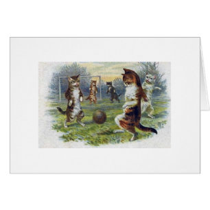 Cru - chats jouant au football,