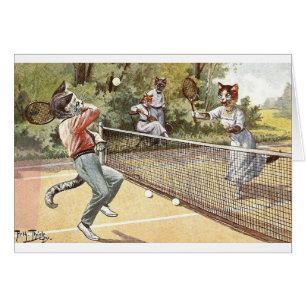 Cru - chats jouant au tennis,