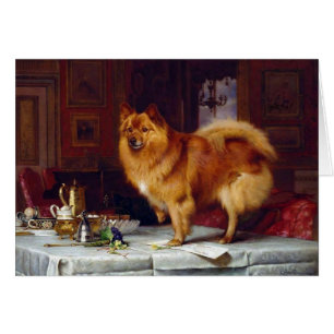 Cru - chien de Pomeranian et le Tableau de petit