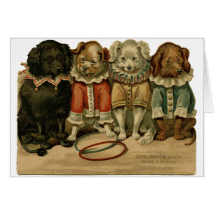 Cru - chiens dans des costumes de clown,