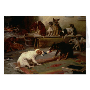 Cru - conflit de jeu de chiens,