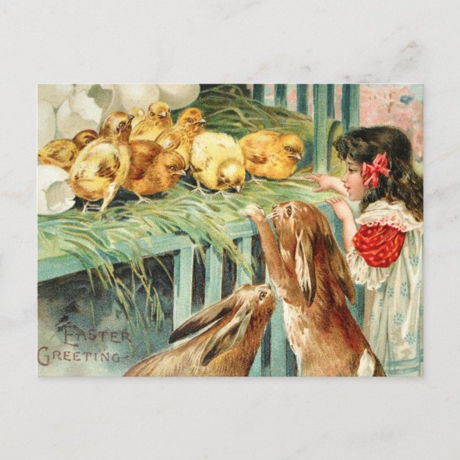Cru de carte postale de scène de Pâques de lapins (Devant)