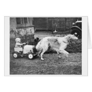 Cru - la voiture de l'enfant tirée par le chien,