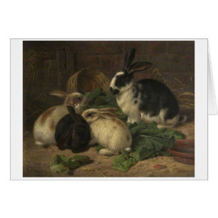 Cru - lapins mangeant de la laitue,