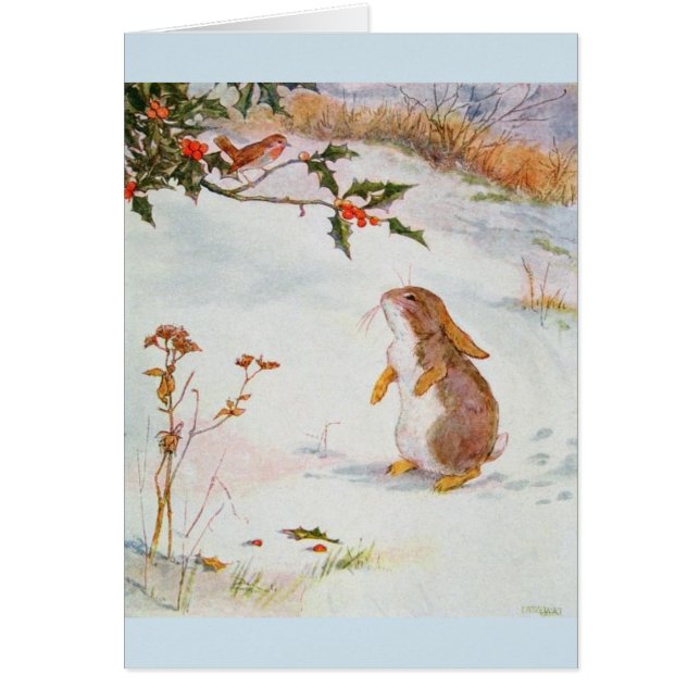 Cru - le lapin rencontre un Robin, (Devant)