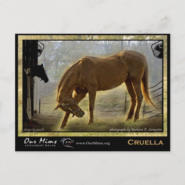 Cruella Post Card Postkarte (Vorderseite)