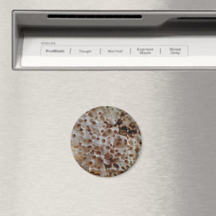 Crumpet Magnet