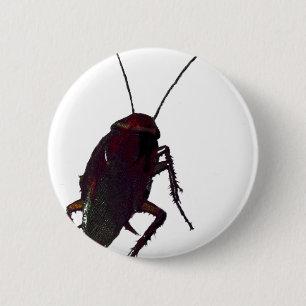Crunchy Cockroach Button