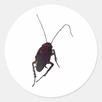 Crunchy Cockroach Runder Aufkleber
