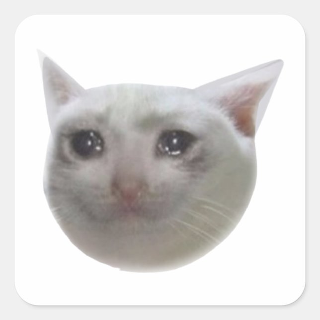 Cry Meme Cat Quadratischer Aufkleber (Vorderseite)