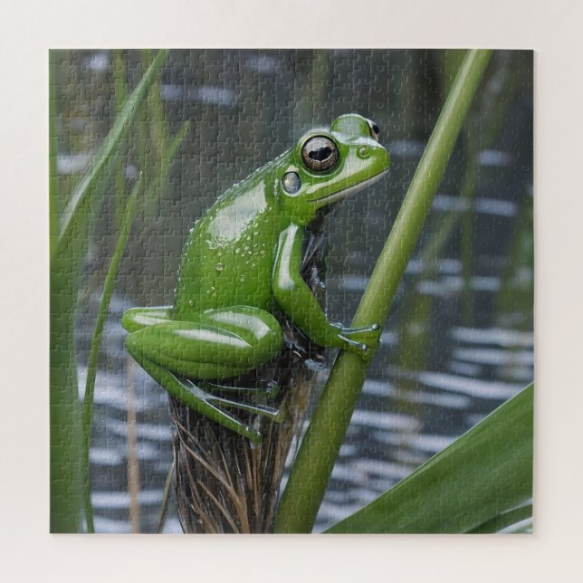 "Crystal Clarity: Green Glass Frog on River Reeds" (Vertikal)